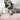 labbvenn hundepude finno beige